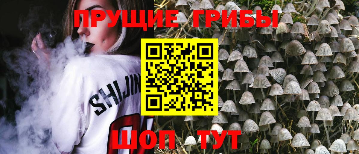 Галлюциногенные грибы Cubensis  Вход с VPN  Галлюциногенные грибы прущие грибы  Брянск 