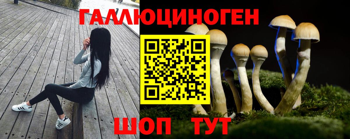 Псилоцибиновые грибы Magic Shrooms Брянск